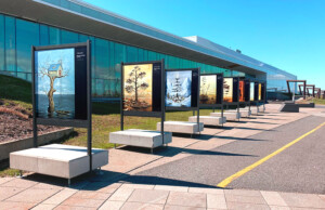 Exposition extérieure sur alupanel par l'illustrateur Félix Girard